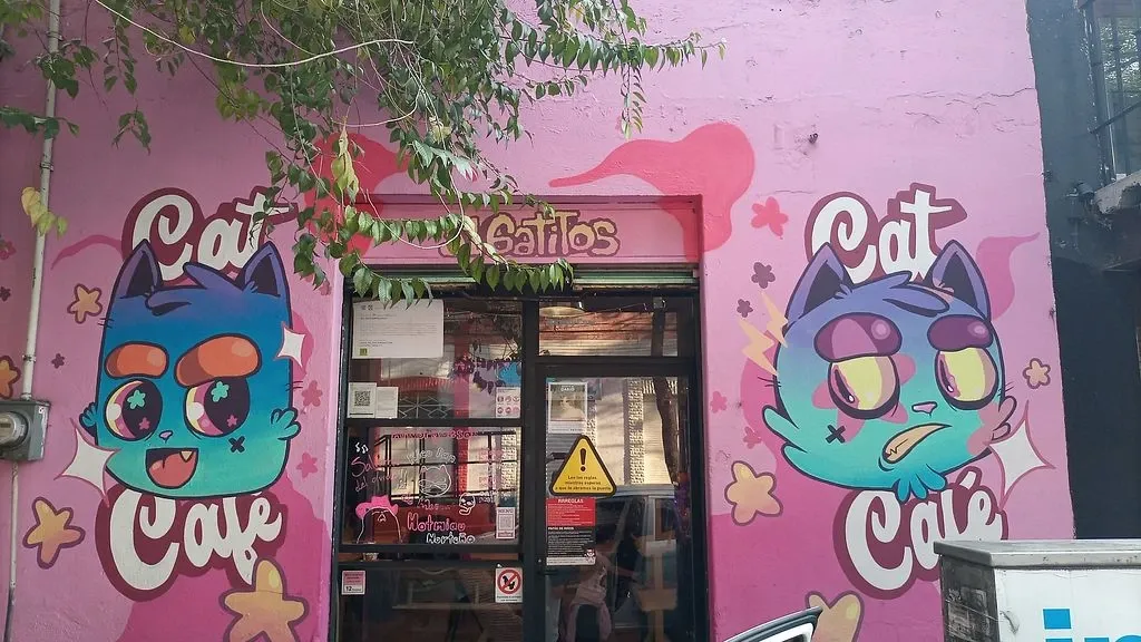 ภายนอกของ 31 Gatitos