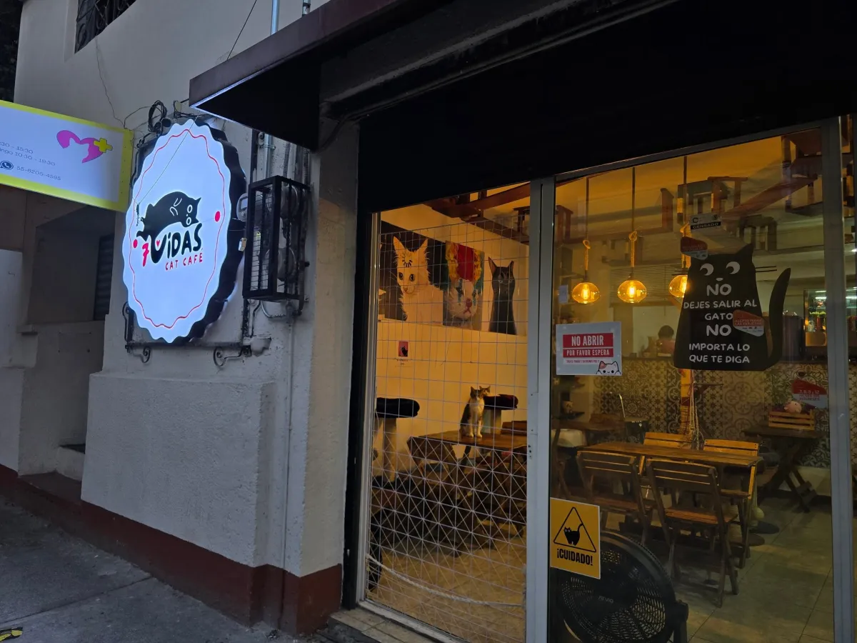 ภายนอกของ 7 Vidas Cat Café