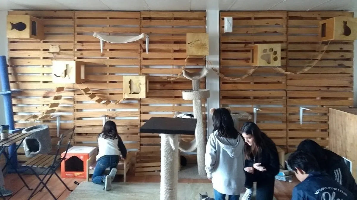 ภายในของ Bastet Cat Café