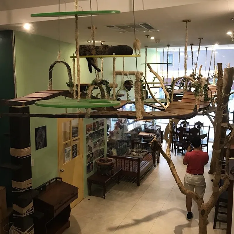 Interior do Bengal Brew