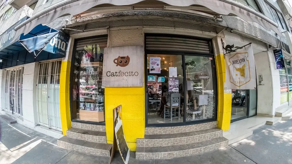 ภายนอกของ Catfecito