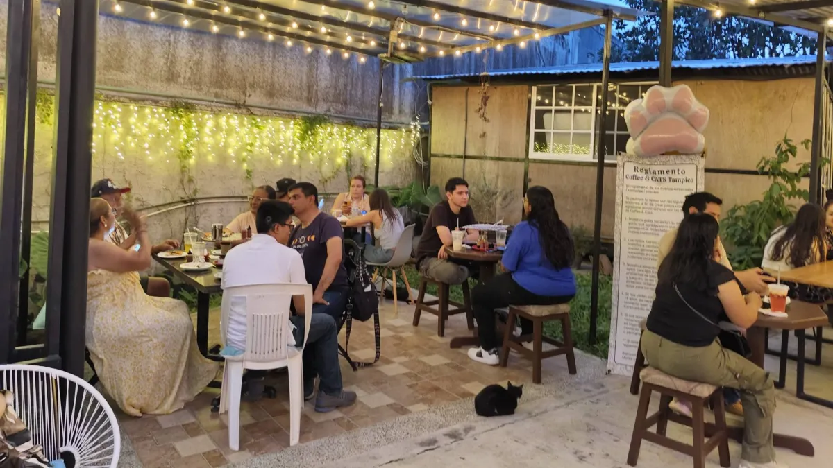 ภายในของ Coffee & CATS Tampico