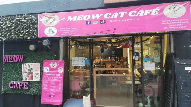 ภายนอกของ Meow Cat Café CDMX